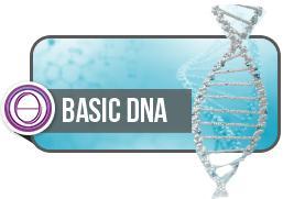 BASİC DNA (TEMEL DNA ) 3 GÜN