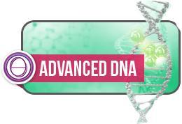 ADVANCE DNA  (İLERİ DNA ) 3 GÜN