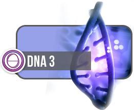 DNA3 (5 GÜN )